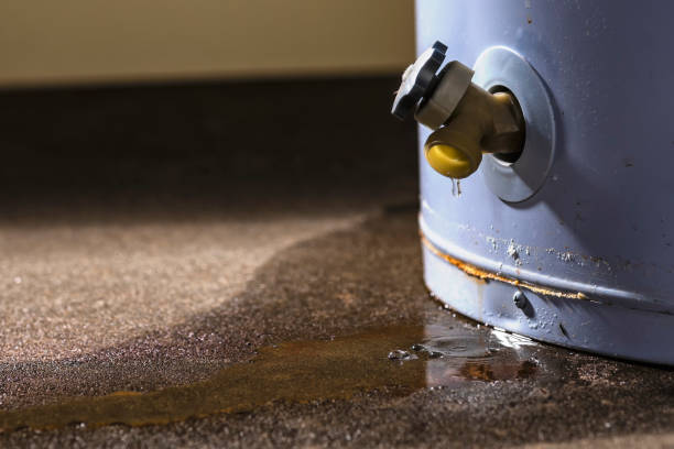 Best Flood restoration services  in Greenfield, MN