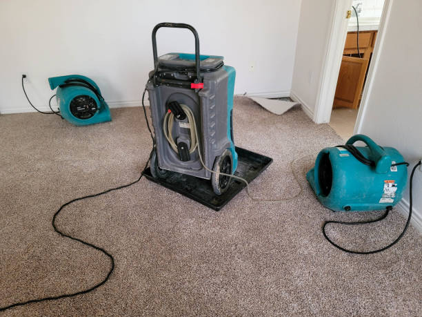 Best Sewage cleanup and water damage restoration  in Greenfield, MN