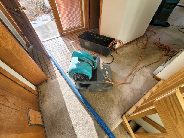 Best Ceiling water damage repair  in Greenfield, MN