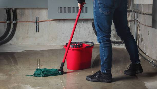 Best Emergency water damage restoration  in Greenfield, MN