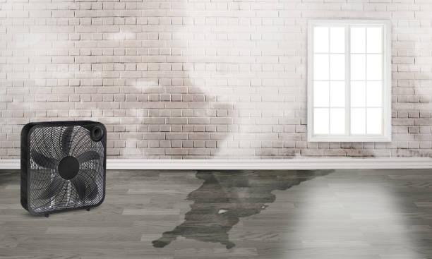 Best Sewage cleanup and water damage restoration  in Greenfield, MN