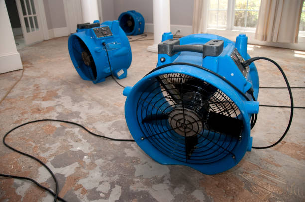 Best 24-hour water damage restoration  in Greenfield, MN