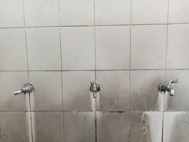 Best 24/7 water damage repair  in Greenfield, MN