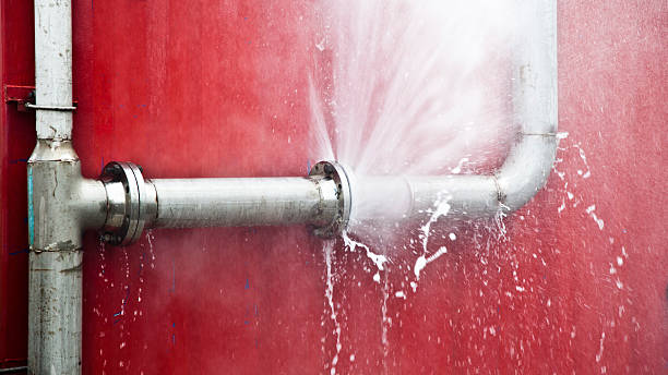 Carpet water damage restoration in Greenfield, MN